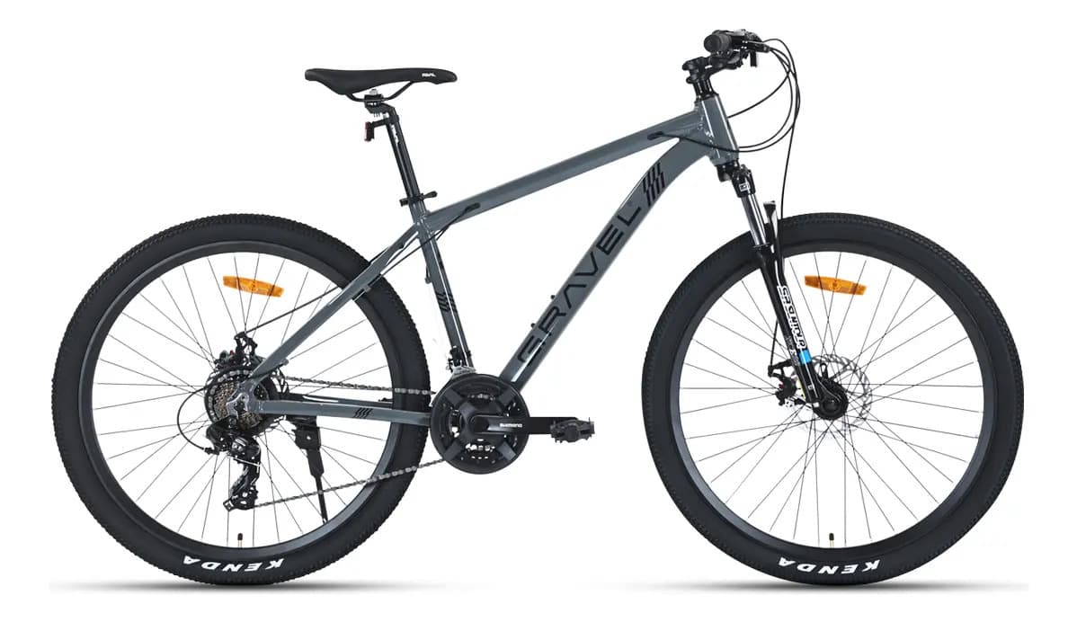 Mountain Bike Gravel Everest R29 21v Disco Mecanico Shimano Color Gris Tamaño del cuadro M