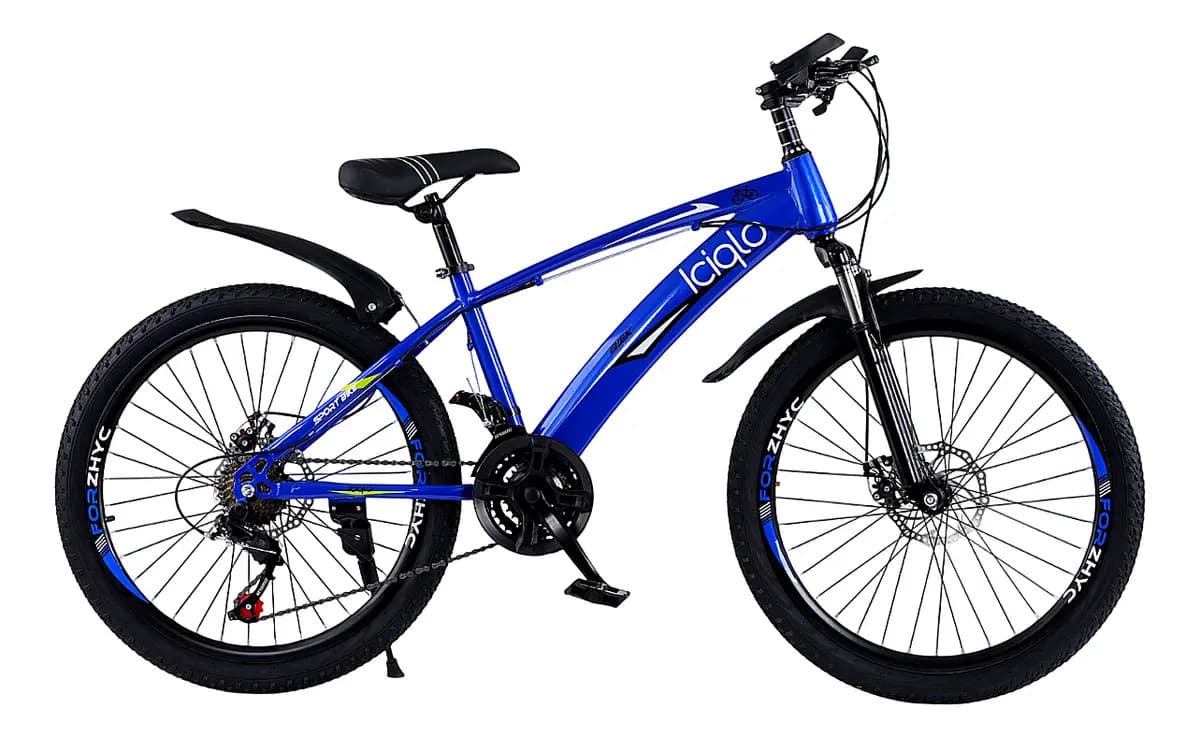 Bicicleta Montaña Alemine Rodada 24 21 Velocidades Frenos Disco